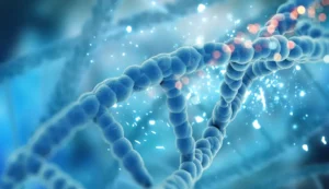 Autophagy & Fasting: Cellular Repair Mechanisms